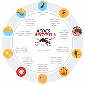 Mapa do mosquito aedes aegypti.(Foto: Reprodu&ccedil;&atilde;o/Ag&ecirc;ncia Brasil)