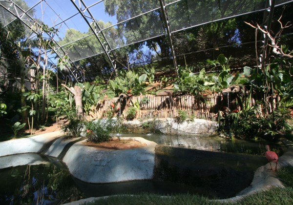  Na foto: Avi&aacute;rio do Zoo de Salvador Foto: Rafael Martins/AGECOM