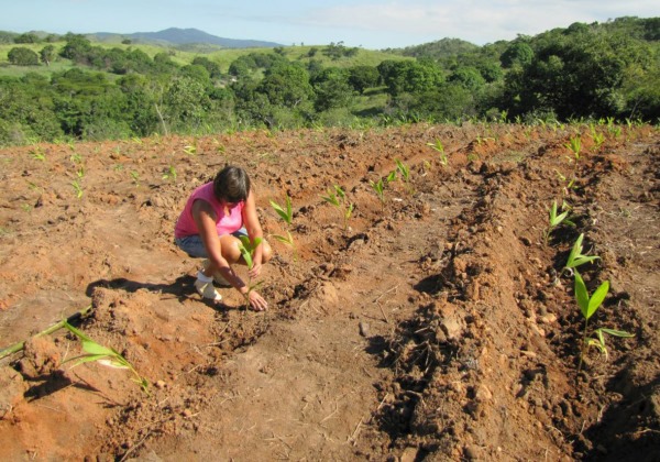 Foto: Reprodução/ EBC
