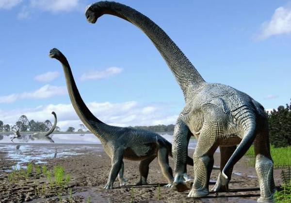 Foto: Travis Tischler / © Australian Age of Dinosaurs Museum of Natural Histor