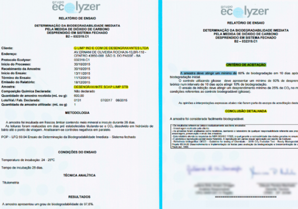 Foto: Reprodução/Ecolyzer