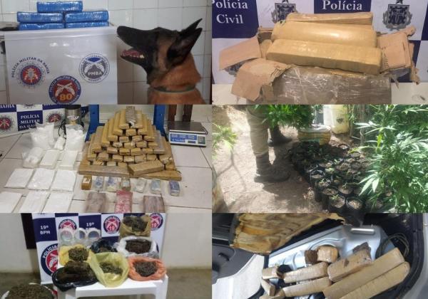 drogas apreendidas foto divulgacao ssp