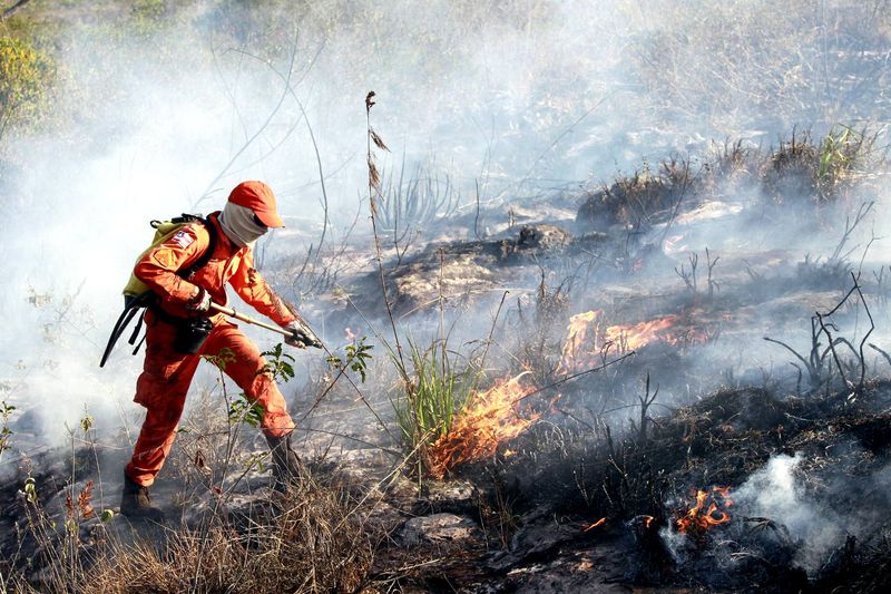 Brigadistas combatem o incêndio na Chapada Diamantina (Mateus Pereira/GOVBA) Brigadistas combatem o incêndio na Chapada Diamantina. (Foto: Mateus Pereira/GOVBA)