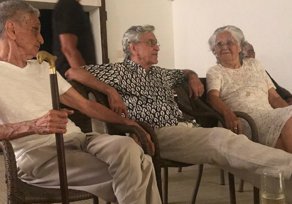 Você vai nos agradecer - 10 dicas sobre valor de um periquito  que você precisa saber