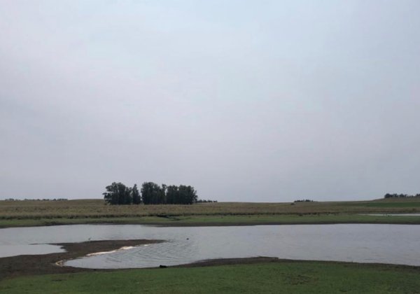 fiumaça rio grande do sul