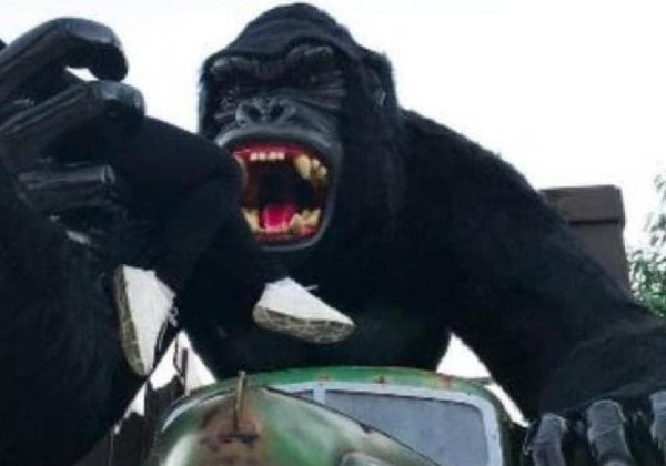 Criança sofre traumatismo craniano após cair de brinquedo no Beto…