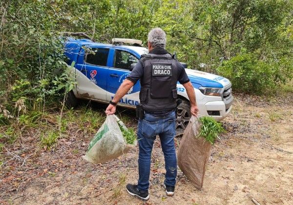 Foto: Divulgação Polícia Civil