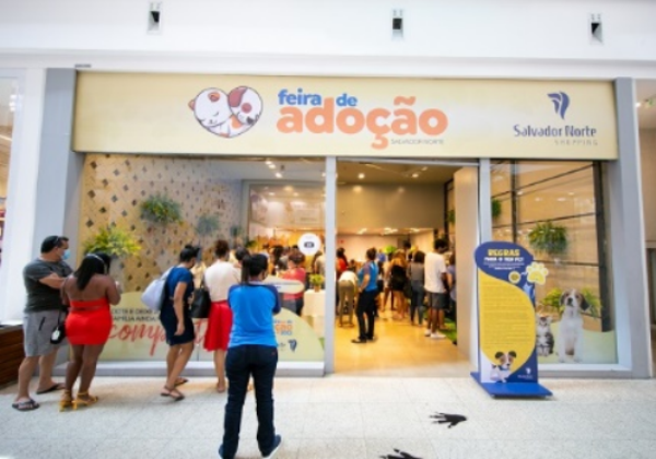 Capital baiana tem vacinação antirrábica gratuita para pets nesta…