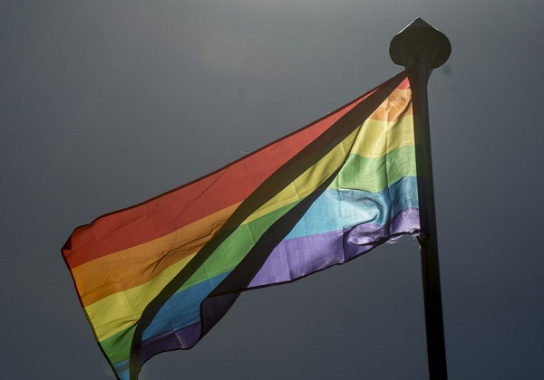 Ministério dos Direitos Humanos restabelece conselho LGBTQIA+