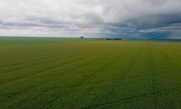 Plantio da safra de soja no Oeste da Bahia alcança 1,9 milhão de…
