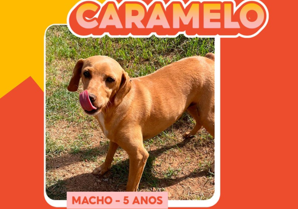 Nova imagem (7)