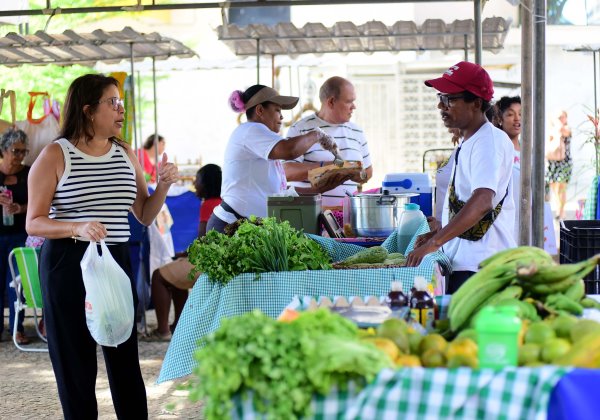 Feira agroecológica movimenta Comércio com produtos livres de…