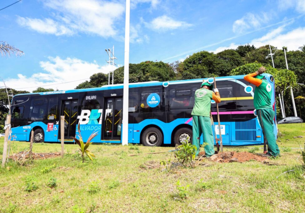 brt