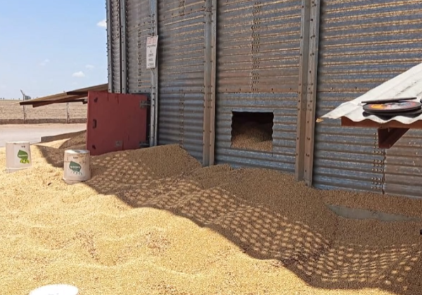 MPT investiga morte de trabalhador em silo de soja no oeste da Bahia