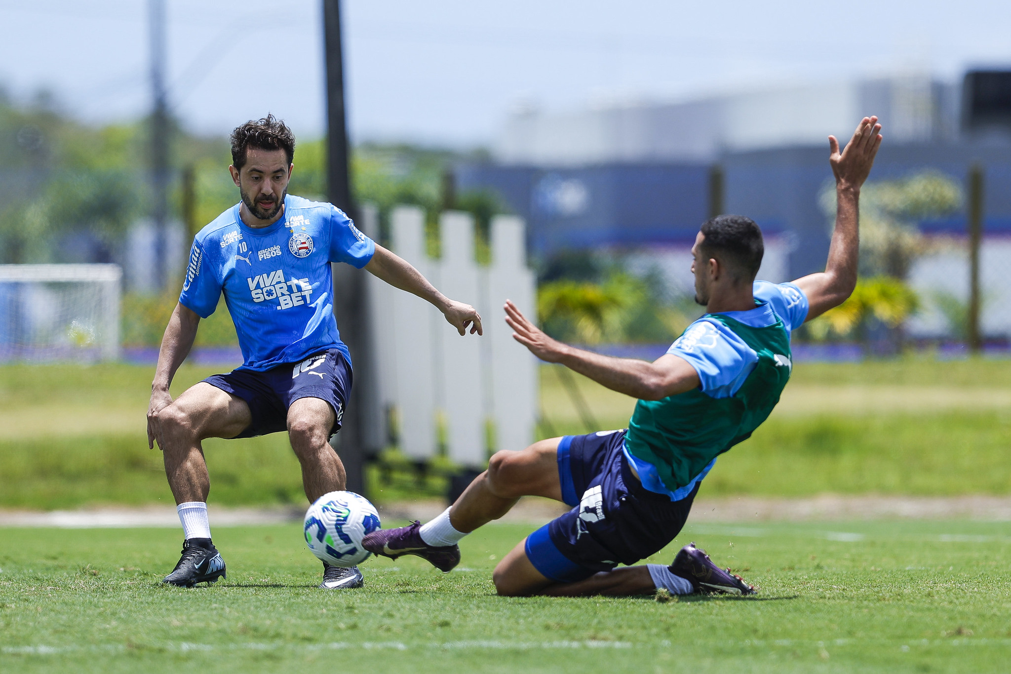Bahia x Red Bull Bragantino: onde assistir, prováveis escalações e arbitragem