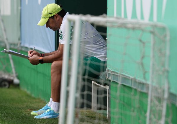 Palmeiras terá dois reforços para receber a visita do Vitória