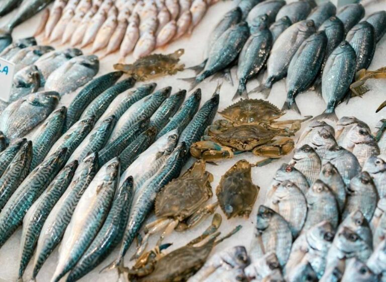 Festival Sabores do Pescado 2025 movimenta Mercado do Rio Vermelho…