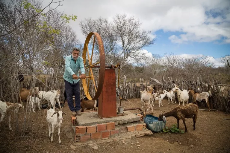 Incra reconhece comunidades de Fundo e Fecho de Pasto como…