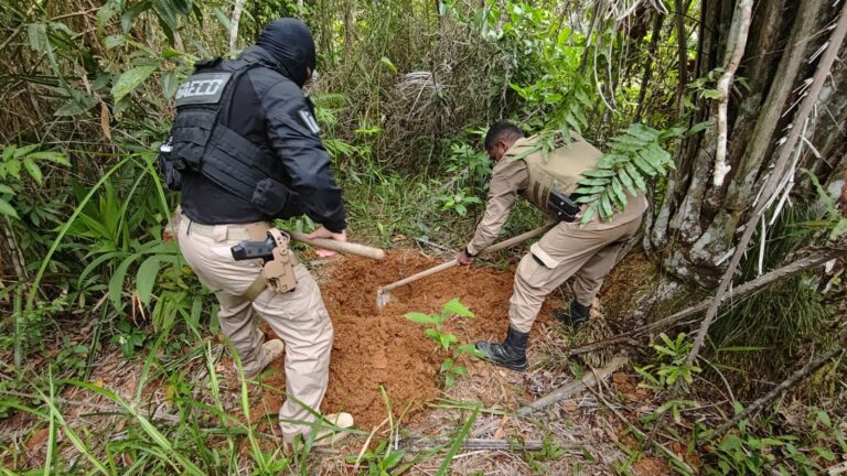 Operação do MP e da SSP identifica cemitério clandestino no sul da…