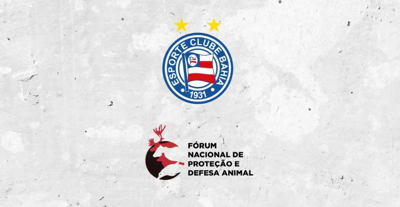 Bahia surpreende e lança campanha contra abate de jumentos; veja