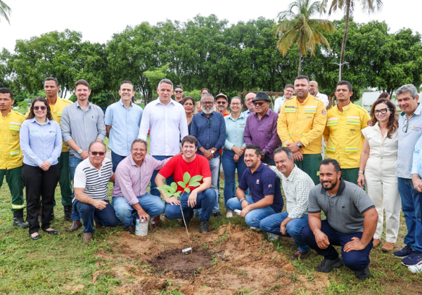 Projeto de arborização urbana deve alcançar 12 cidades do interior da Bahia