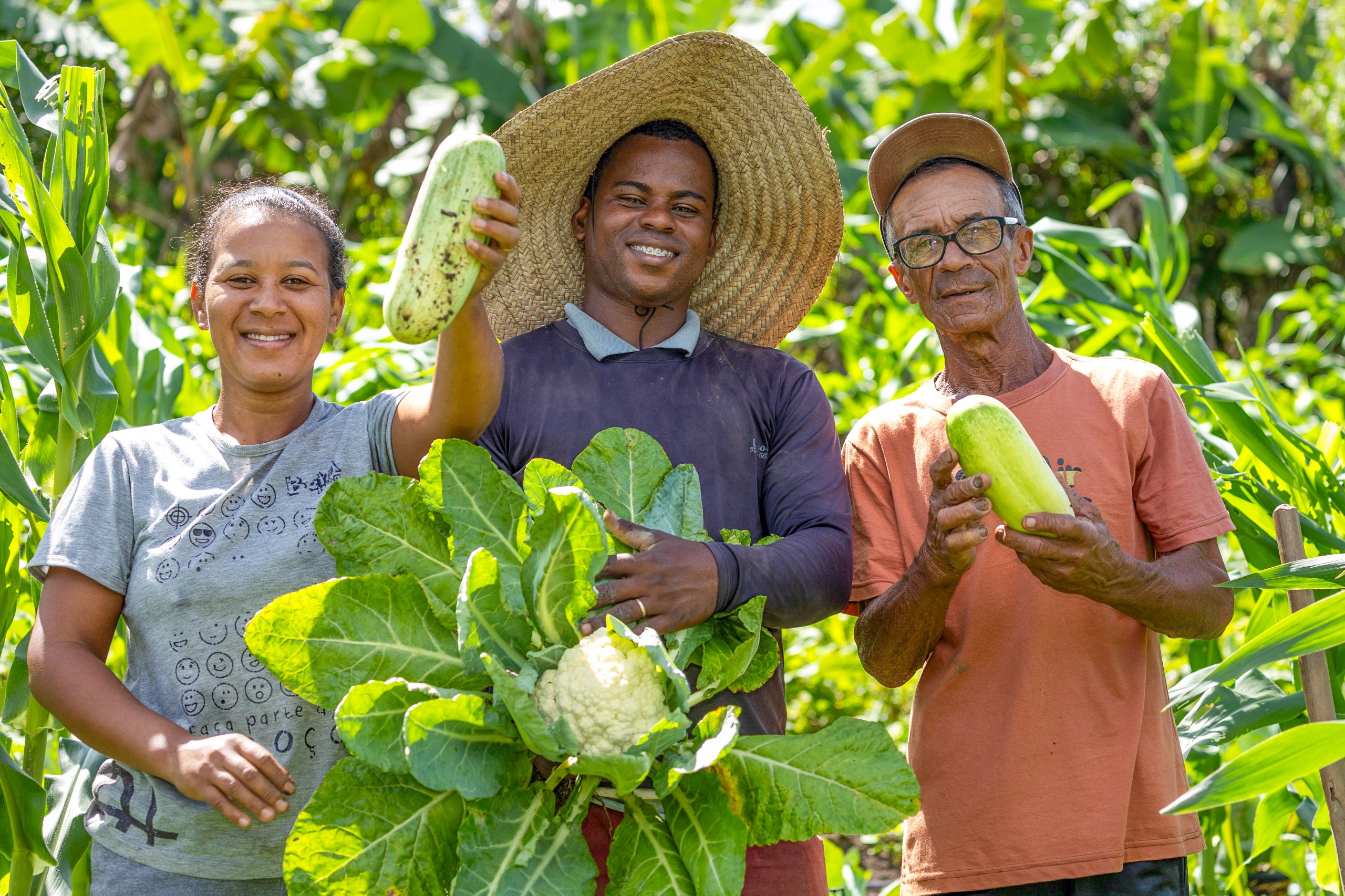 Bahia implementa crédito assistido para produtores da agricultura familiar