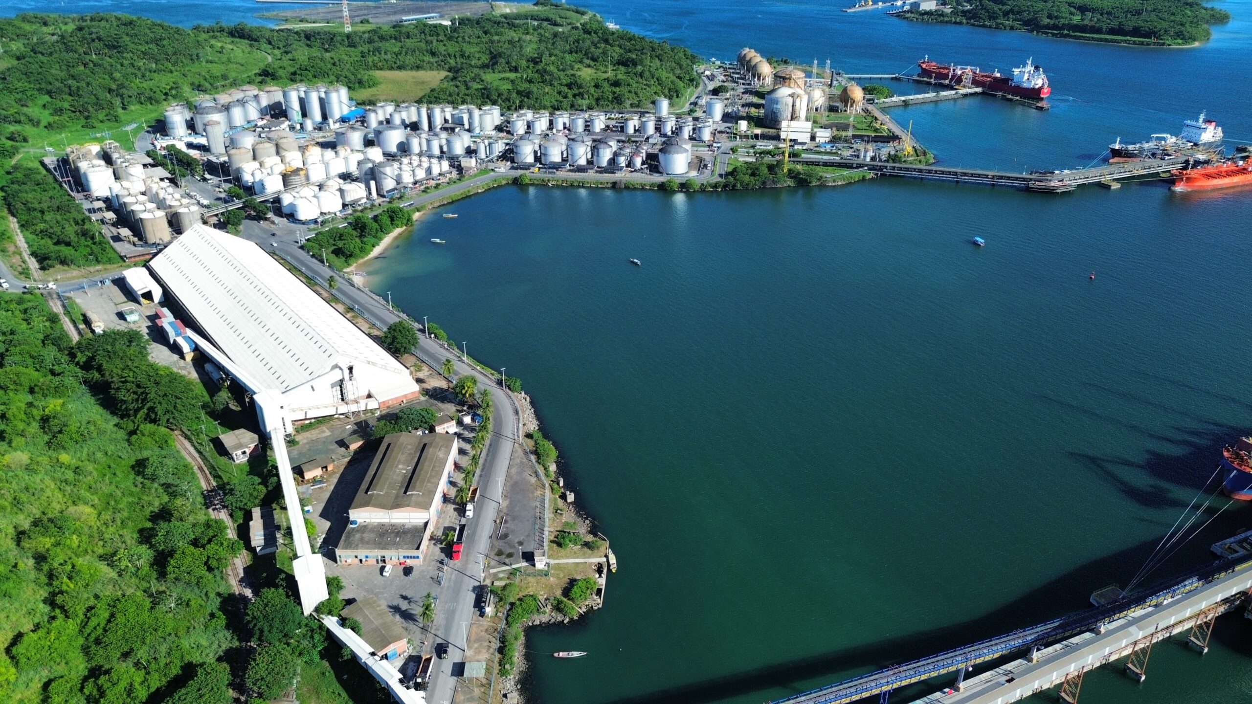 Porto de Aratu-Candeias inicia operação de granéis vegetais após 51 anos