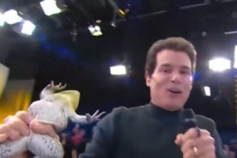 Celso Portiolli vira alvo do MP após cena polêmica com rã no Domingo…