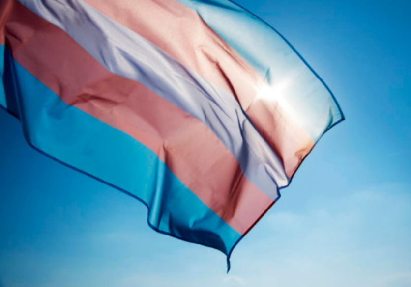 Dia Internacional da Visibilidade Trans marca luta por direitos e combate à discriminação