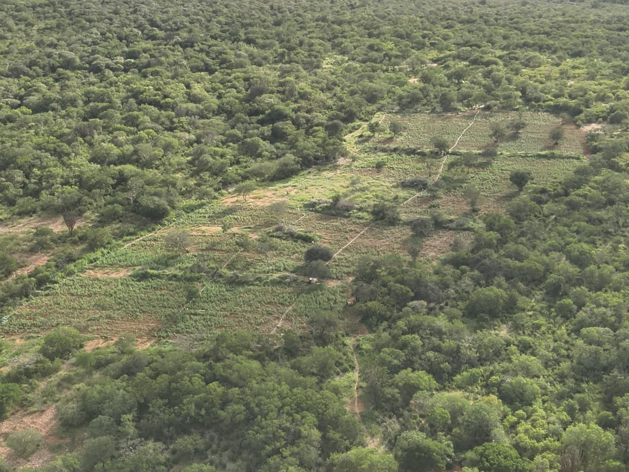 Foto: Divulgação/SSP