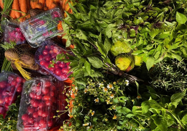 UFBA recebe encontro nacional sobre gastronomias brasileiras
