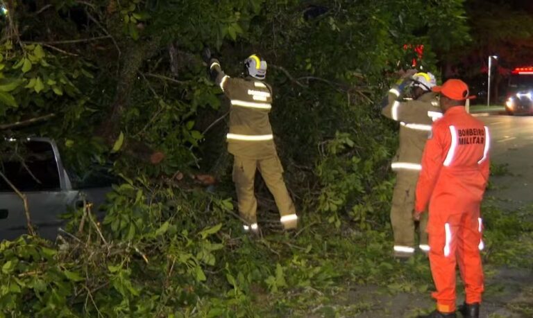 Queda de árvore deixa três feridos no Dique do Tororó