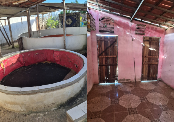Polícia resgata 72 aves vítimas de maus-tratos no interior da Bahia