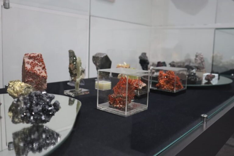 Museu Geológico promove encontro de colecionadores de minerais da…