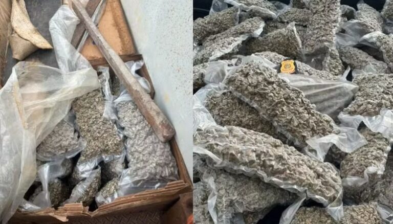 Homem é preso com mais de 100 kg de maconha no sul da Bahia