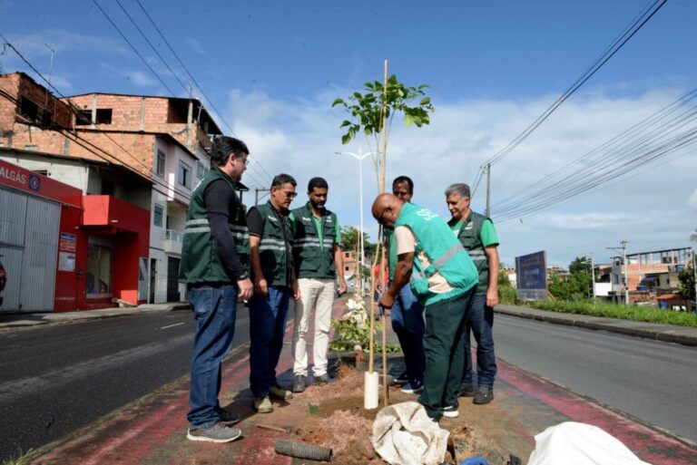 Ambientaliza Salvador 2026 encerra programação com plantio no Subúrbio