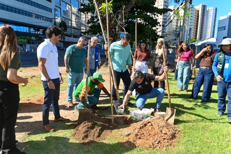 Prefeitura inicia plantio de mais de 1 mil mudas de árvores na…