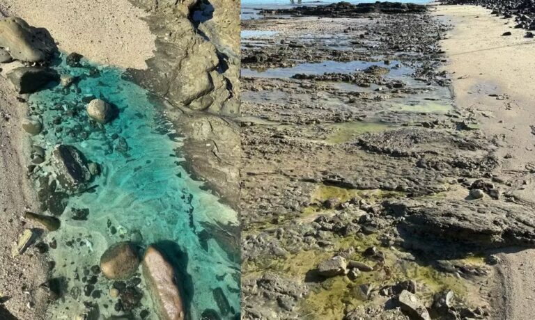 Jerônimo homologa situação de emergência em Salvador por derramamento…