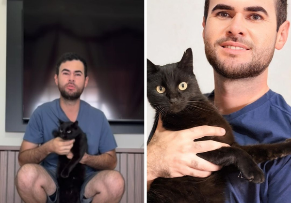 Gato vidente faz aposta em jogo do Brasil contra o Japão na Copa; confira