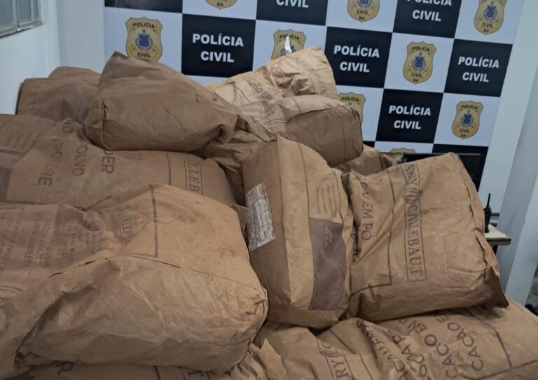 Polícia Civil recupera carga de cacau após furto no sul da Bahia