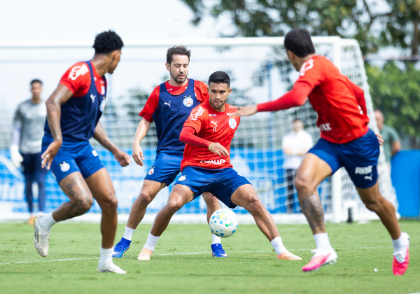 Bahia ganha reforços e define últimos ajustes para volta do Brasileirão
