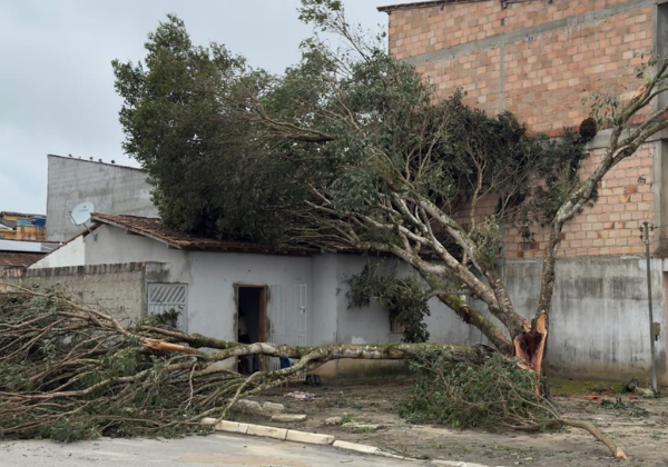 Prefeitura de Eunápolis decreta emergência após vendaval