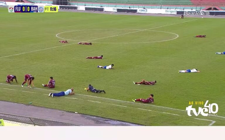 Ataque de abelhas paralisa final do Baiano Sub-20 entre Bahia e…