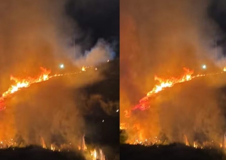 Chá revelação termina em incêndio em ponto turístico da Bahia