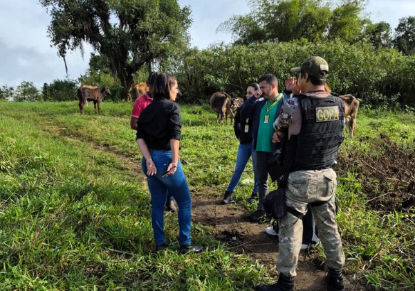 Operação busca combater animais soltos em vias públicas no sul da Bahia